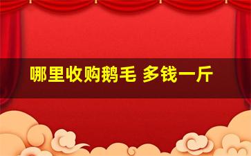 哪里收购鹅毛 多钱一斤